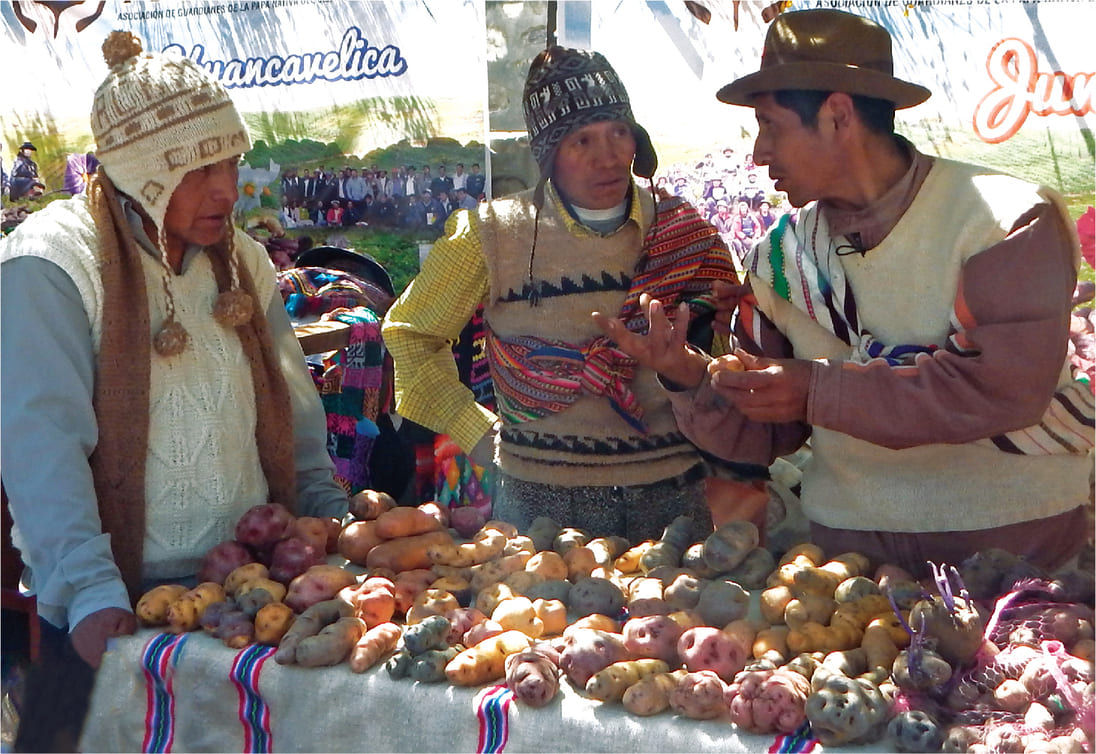 Imagen 3
