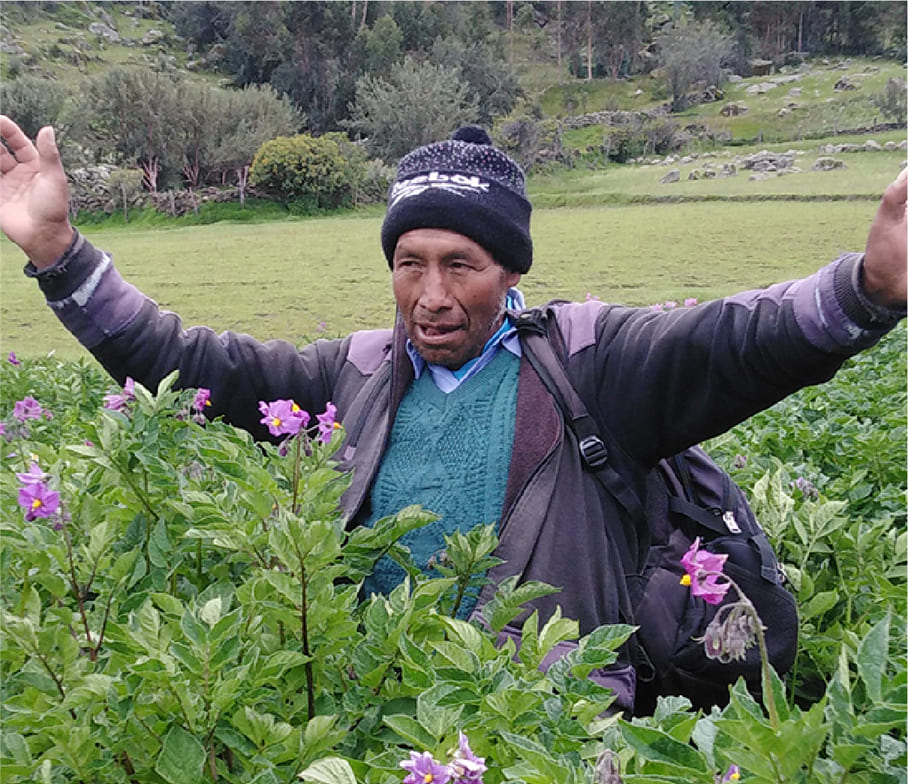 Francisco Salvatierra Taype