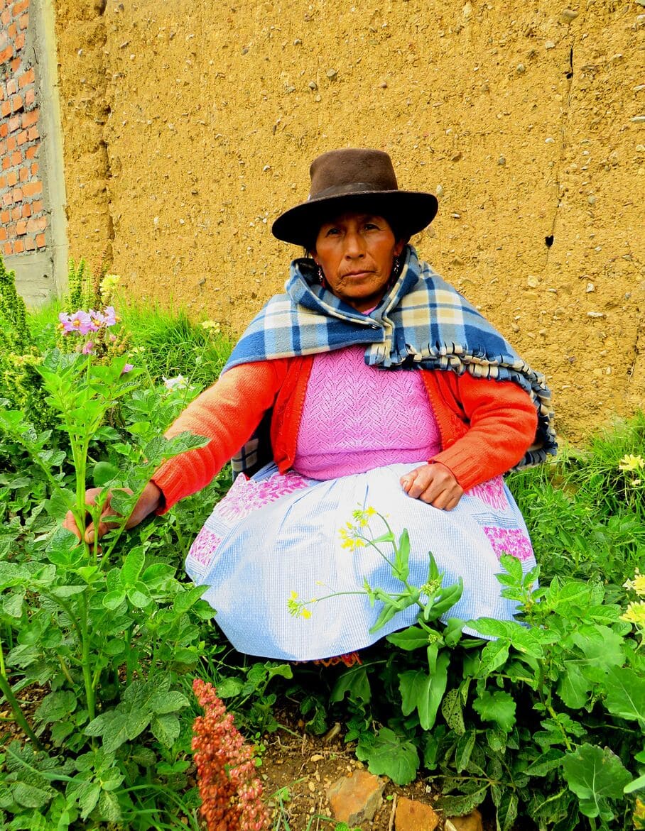 Felipa Llaccta Choccelagua